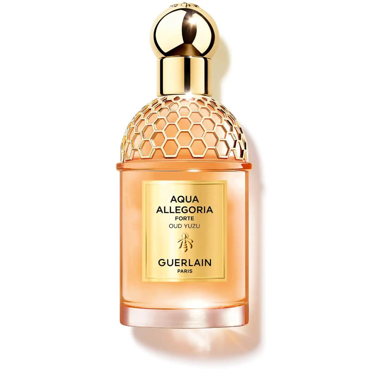 GUERLAIN - Aqua Allegoria Forte Oud Yuzu